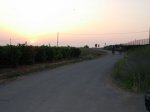 dscn1009.jpg