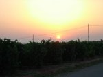 dscn1011.jpg