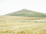 dscn1018.jpg