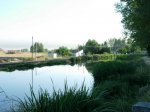 dscn1026.jpg