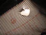 DSC01042.JPG