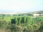 dscn1039.jpg