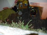 dscn1075.jpg