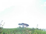 dscn1081.jpg