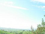 dscn1082.jpg