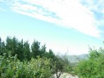 dscn1084.jpg