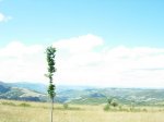 dscn1093.jpg