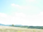dscn1096.jpg