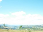 dscn1097.jpg