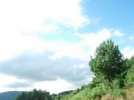 dscn1131.jpg