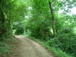 dscn1135.jpg