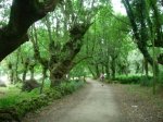 dscn1137.jpg