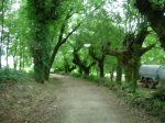 dscn1138.jpg