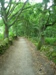 dscn1144.jpg