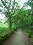 dscn1145.jpg