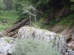Pirineos 065 [].jpg