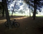 Foto0199.jpg