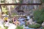 100_1061.jpg