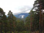 DSC02356.jpg