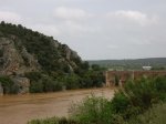 Puente_quintos1.jpg