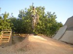 DSCN0728.JPG
