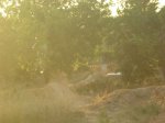 DSCN0732.JPG