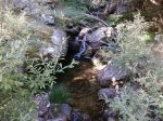 Foto0323.jpg