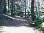 Foto0331.jpg