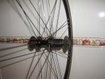 bici papa 002.jpg