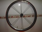 bici papa 004.jpg