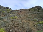 DSC05529.jpg