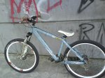DSC00424.jpg