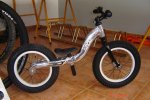 Senda espinaca 005.jpg
