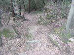 DSCF1356 (Large).JPG