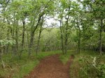 IMG_3308.jpg