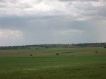 IMG_3312.jpg