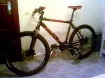 mi bici.jpg
