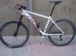 bici con cuernos 002.JPG