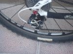bici con cuernos 010.JPG