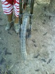 DSC05088.JPG
