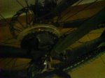 DSC05093.JPG