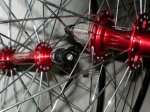 progress zipp 006.jpg