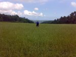 23082008880.jpg