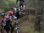 carrito 028.jpg