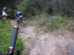carrito 010.jpg