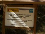 PICT0126.jpg