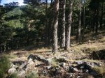 Foto8.JPG