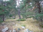 Foto18.JPG