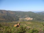 DSC01091.JPG