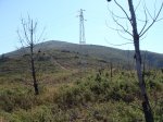 DSC01092.JPG